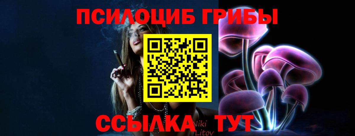 Усть-Джегута  Псилоцибиновые грибы GOLDEN TEACHER  Вход с VPN 